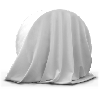 LS 233